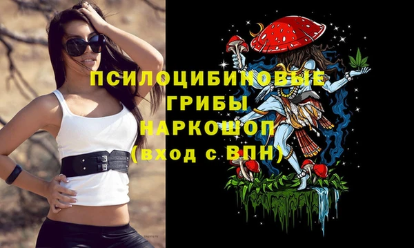 mdpv Алзамай