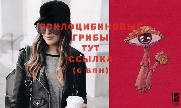 дмт Алексин