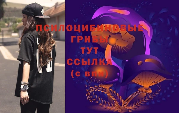 соль ск Волоколамск