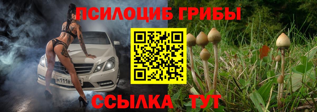 Галлюциногенные грибы GOLDEN TEACHER  Алексин 