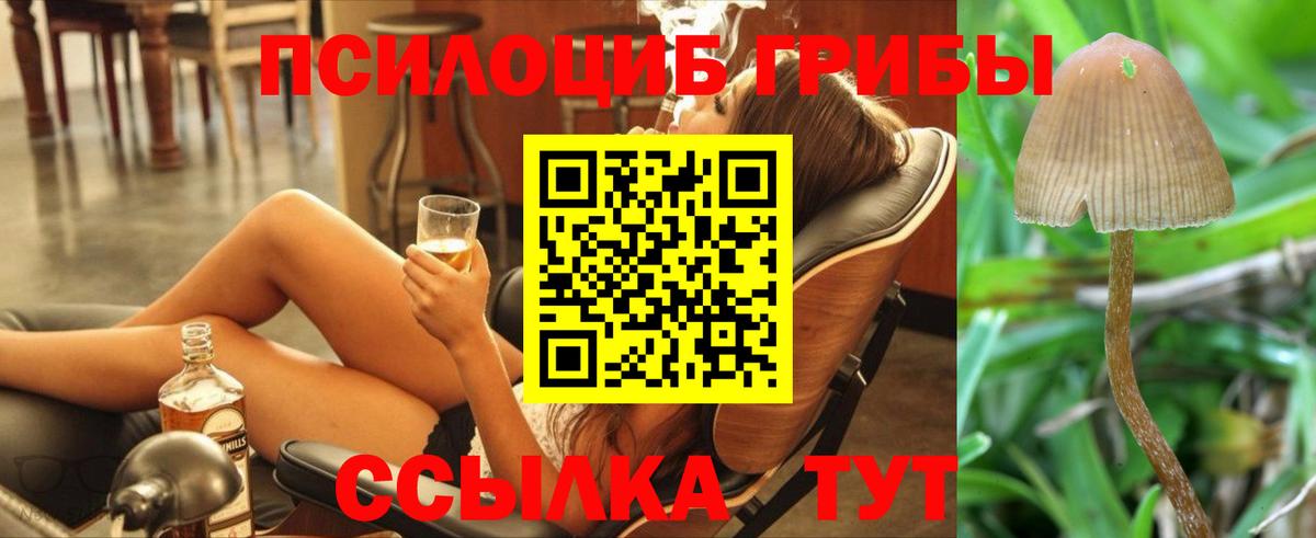 Псилоцибиновые грибы MAGIC MUSHROOMS Алексин