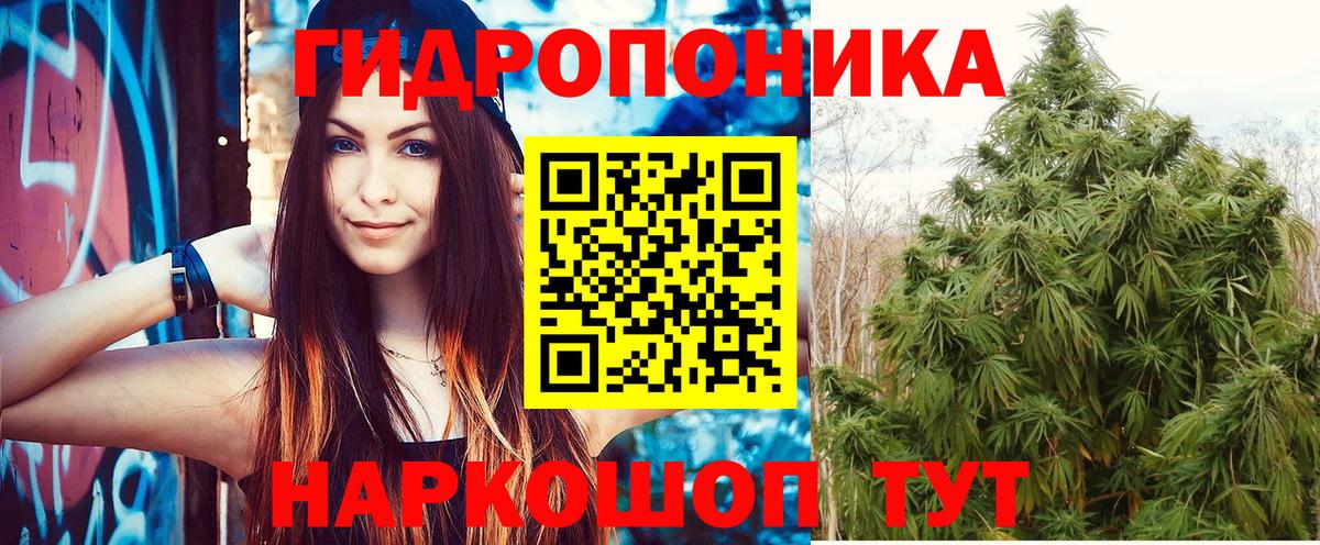 Шишки марихуана семена Алексин